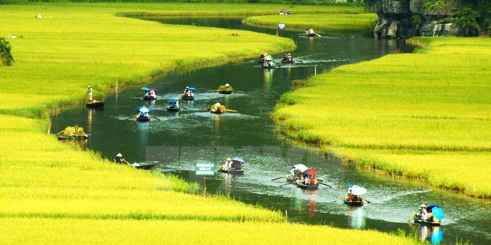 Khi tham gia các chuyến du lịch sinh thái này, du khách sẽ được hòa mình vào những cuộc sống xanh mát và thân thiện với thiên nhiên, tìm hiểu văn hóa địa phương và thưởng thức những bữa ăn dân dã. Hãy cùng Sakos tìm hiểu những địa điểm du lịch sinh thái tuyệt vời trên khắp Việt Nam sau đây nhé!