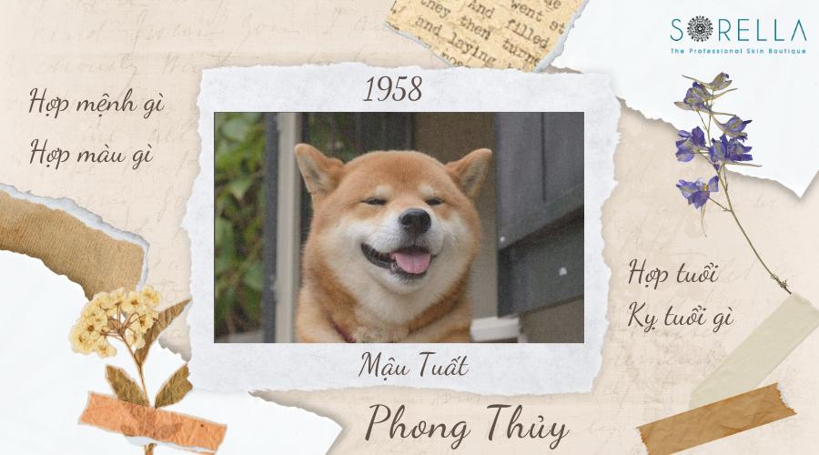 1. Người Sinh Năm 1958 Tuổi Con Gì ?