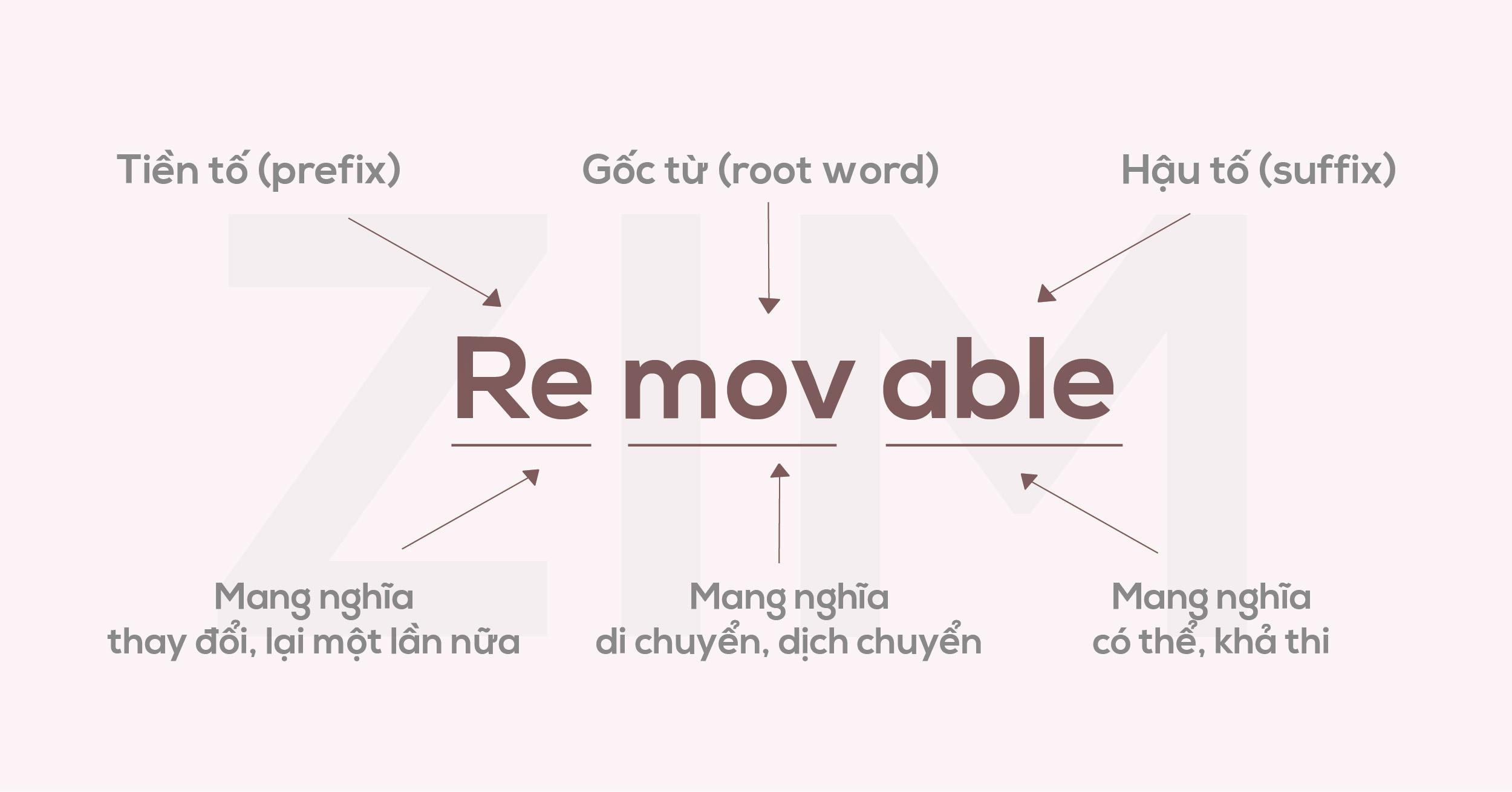 hoc-tieng-latin-removable