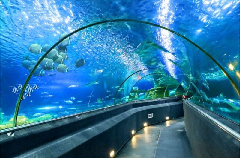 Thủy cung Vinpearl Nha Trang ở đâu?