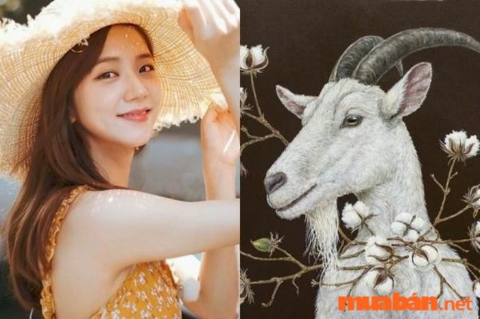 Tử vi tuổi Mùi 1979 - Nữ mệnh có tính cách hiền hòa và nhân ái