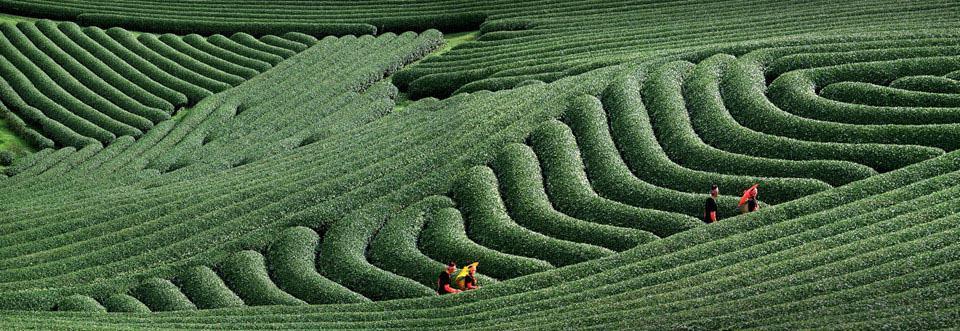 Lâm Đồng Cảnh đẹp Việt Nam