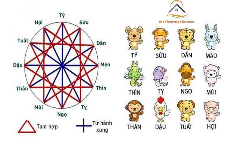 tam hợp là gì