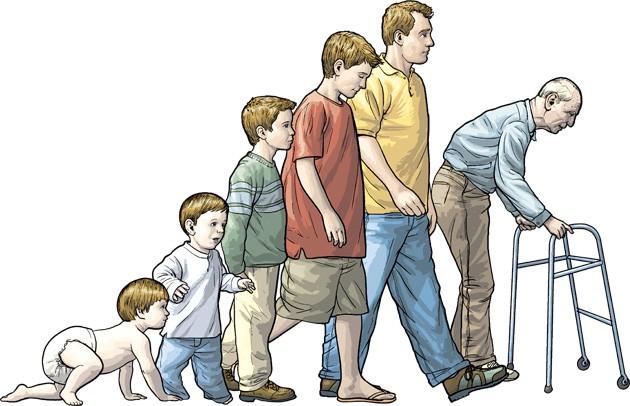 cropped-human_development_timeline