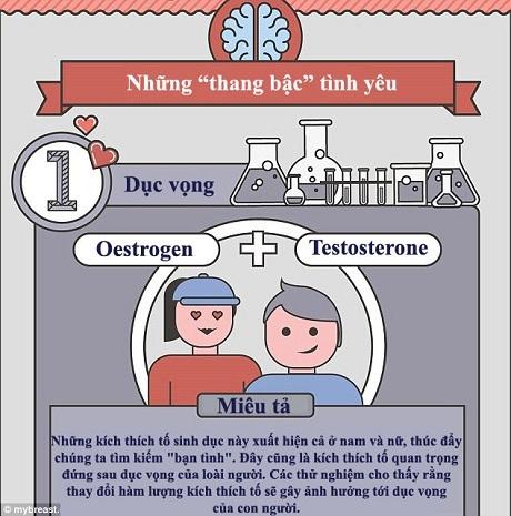 Nếu bạn bỗng thấy mình căng thẳng lạ thường mỗi khi đứng trước người ấy, lỗi là tại hoóc-môn dopamine. Khi cơ thể có nhiều dopamine, đó là khi bạn bắt đầu cảm nhận thấy những khao khát bên trong mình lớn dần.