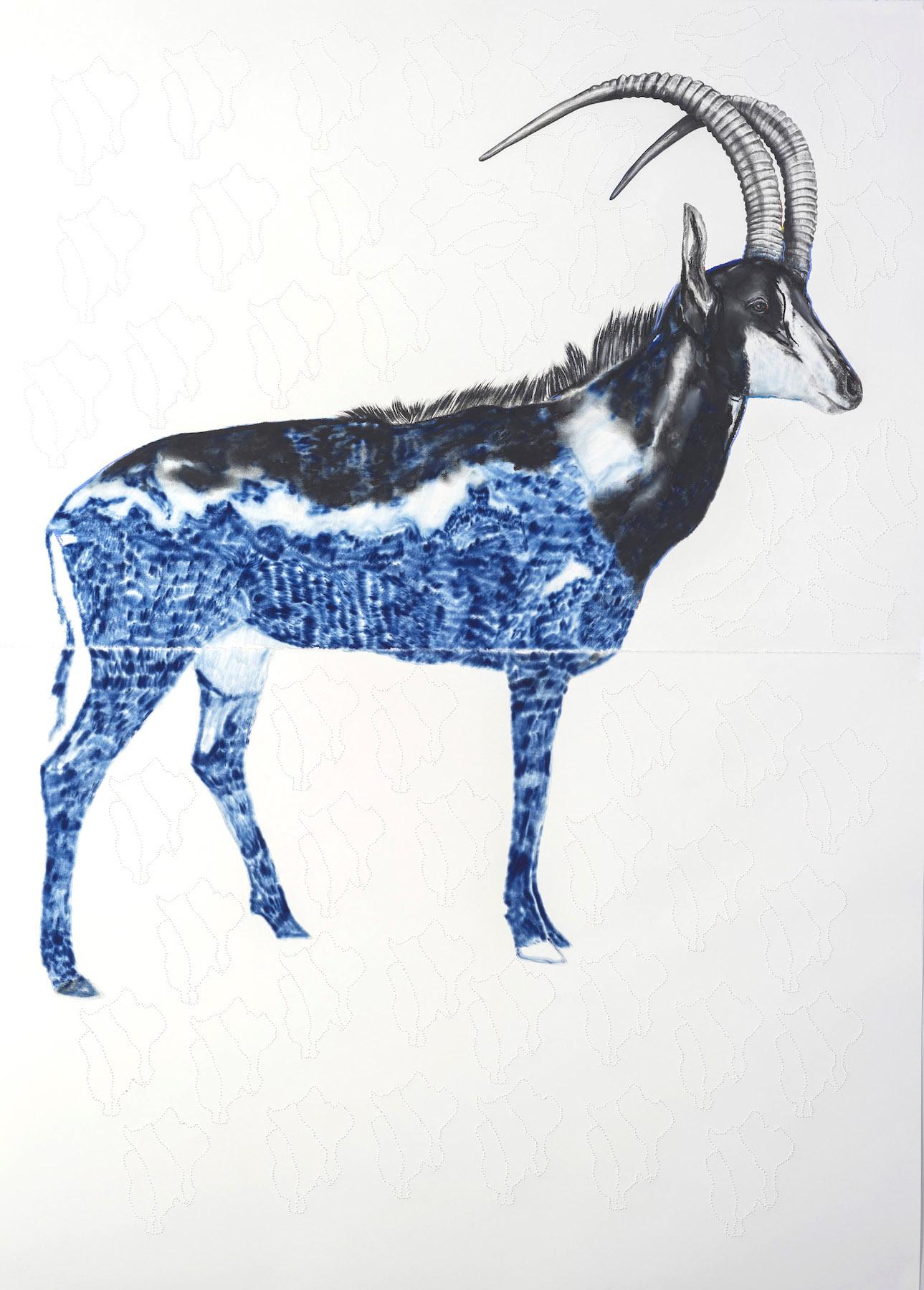 Antelope
