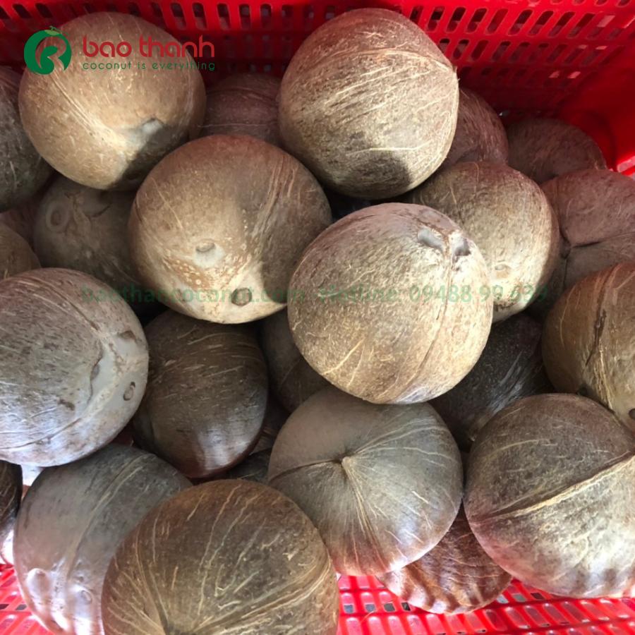 Dừa khô đánh bóng