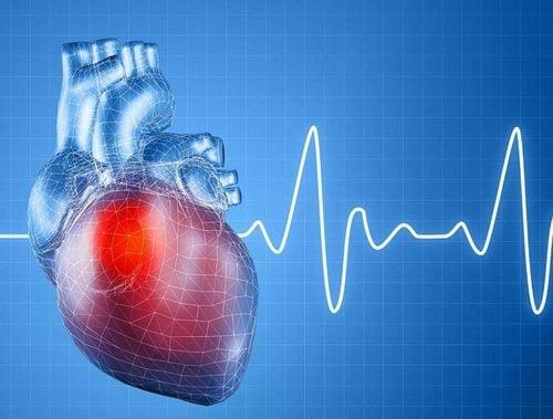 Có sự thay đổi đáng kể trong chỉ số nhịp tim tối đa của mỗi người
